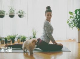 5 Beneficios de practicar yoga cuando trabajas desde casa 5 Beneficios de practicar yoga cuando trabajas desde casa