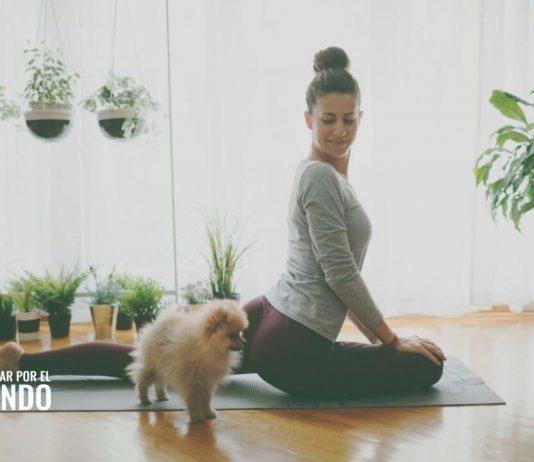 5 Beneficios de practicar yoga cuando trabajas desde casa 5 Beneficios de practicar yoga cuando trabajas desde casa