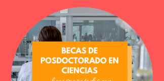 Becas de posdoctorado en ciencias, Arturo Fallaschi Becas de posdoctorado en ciencias, Arturo Fallaschi