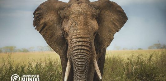 Guía para trabajar en Kenia Guía para trabajar en Kenia