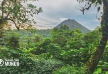 Cómo acceder a las campañas de contratación masivas de Amazon en Costa Rica Cómo acceder a las campañas de contratación masivas de Amazon en Costa Rica