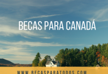 400 becas Amancio Ortega para españoles, estudia EEUU o Canadá 400 becas Amancio Ortega para españoles, estudia EEUU o Canadá