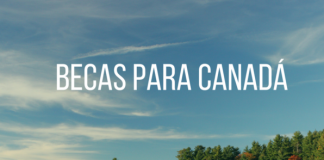 400 becas Amancio Ortega para españoles, estudia EEUU o Canadá 400 becas Amancio Ortega para españoles, estudia EEUU o Canadá