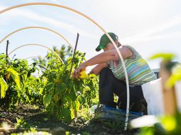 ¿ Cómo puedo arreglar si llegué a trabajar en 1998 y nunca he salido de U.S.A.? ¿ Cómo puedo arreglar si llegué a trabajar en 1998 y nunca he salido de U.S.A.?