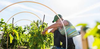 ¿ Cómo puedo arreglar si llegué a trabajar en 1998 y nunca he salido de U.S.A.? ¿ Cómo puedo arreglar si llegué a trabajar en 1998 y nunca he salido de U.S.A.?