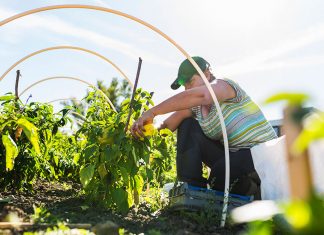 ¿ Cómo puedo arreglar si llegué a trabajar en 1998 y nunca he salido de U.S.A.? ¿ Cómo puedo arreglar si llegué a trabajar en 1998 y nunca he salido de U.S.A.?