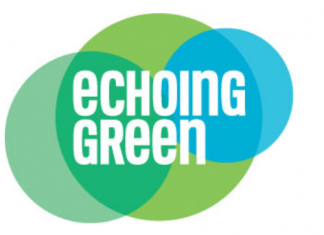 Beca internacional para emprendedores sociales, Echoing Green Beca internacional para emprendedores sociales, Echoing Green