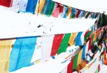 Becas Dalai Lama Becas Dalai Lama