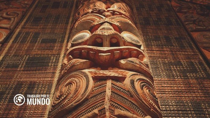 Guía de Becas para estudiar en Nueva Zelanda