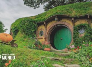 Guía para estudiar en Nueva Zelanda Guía para estudiar en Nueva Zelanda