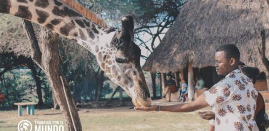 Cómo hacer un voluntariado en Kenia Cómo hacer un voluntariado en Kenia
