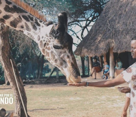 Cómo hacer un voluntariado en Kenia Cómo hacer un voluntariado en Kenia