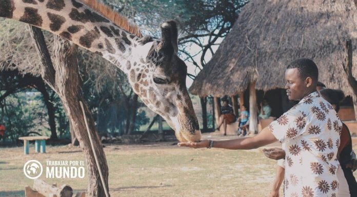 Cómo hacer un voluntariado en Kenia Cómo hacer un voluntariado en Kenia
