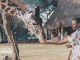 Cómo hacer un voluntariado en Kenia Cómo hacer un voluntariado en Kenia