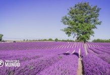 10 Portales web para buscar trabajo en Francia 10 Portales web para buscar trabajo en Francia