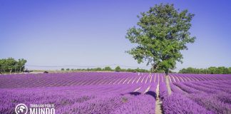 10 Portales web para buscar trabajo en Francia 10 Portales web para buscar trabajo en Francia
