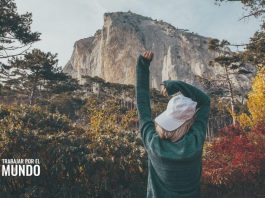 Aprende con la escuela de idiomas número uno online: Lingoda Aprende con la escuela de idiomas número uno online: Lingoda