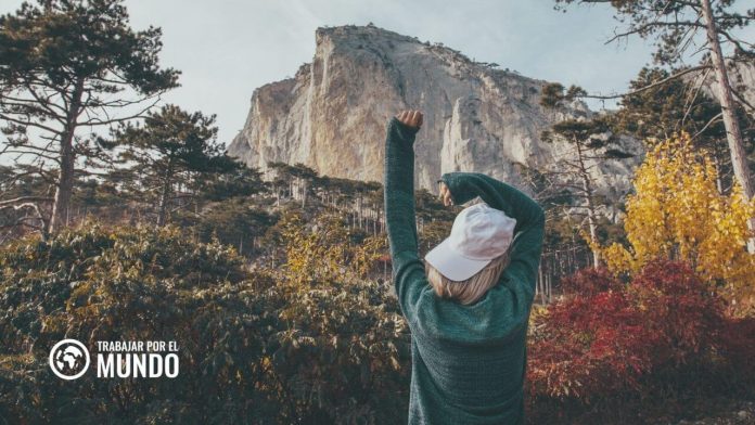 Aprende con la escuela de idiomas número uno online: Lingoda