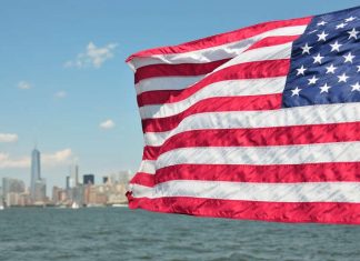 Profesores visitantes en centros de Estados Unidos, Canadá, Emiratos Árabes Unidos e Irlanda Profesores visitantes en centros de Estados Unidos, Canadá, Emiratos Árabes Unidos e Irlanda