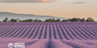 Cómo usar Pôle Emploi para encontrar empleo en Francia Cómo usar Pôle Emploi para encontrar empleo en Francia