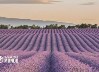 Cómo usar Pôle Emploi para encontrar empleo en Francia Cómo usar Pôle Emploi para encontrar empleo en Francia