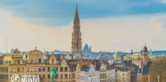 Prácticas profesionales en las oficinas de Bruselas del CESE Prácticas profesionales en las oficinas de Bruselas del CESE
