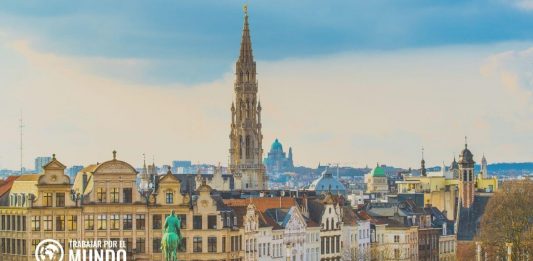 Prácticas profesionales en las oficinas de Bruselas del CESE Prácticas profesionales en las oficinas de Bruselas del CESE