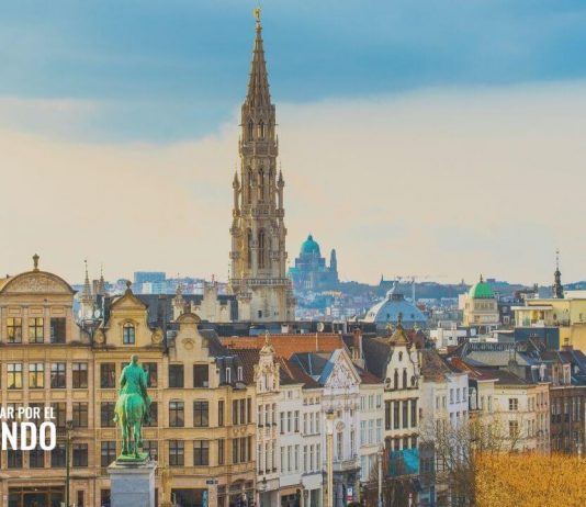 Prácticas profesionales en las oficinas de Bruselas del CESE Prácticas profesionales en las oficinas de Bruselas del CESE