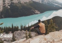 Diferencias entre actitud y aptitud profesional Diferencias entre actitud y aptitud profesional