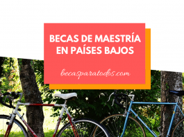 Becas de maestría sobre ciencias de la tierra, Países Bajos Becas de maestría sobre ciencias de la tierra, Países Bajos