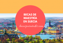 Becas para maestría en Suecia, Uppsala Becas para maestría en Suecia, Uppsala