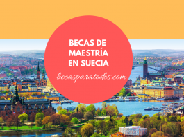 Becas para maestría en Suecia, Uppsala Becas para maestría en Suecia, Uppsala