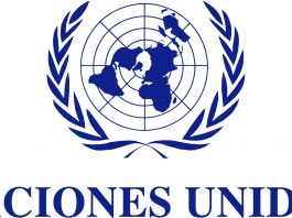 Vacantes ONU México, nuevos puestos para febrero Vacantes ONU México, nuevos puestos para febrero