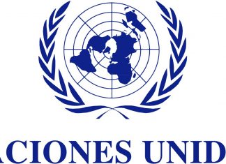 Vacantes ONU México, nuevos puestos para febrero Vacantes ONU México, nuevos puestos para febrero