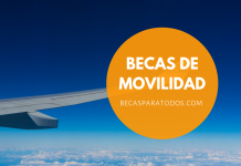 Fondo Prince Claus, becas para artistas Fondo Prince Claus, becas para artistas