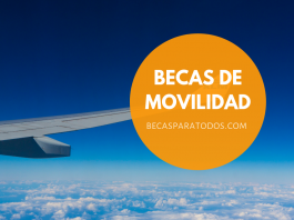 Fondo Prince Claus, becas para artistas Fondo Prince Claus, becas para artistas