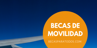 Fondo Prince Claus, becas para artistas Fondo Prince Claus, becas para artistas