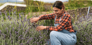 ¿ Cómo funciona el tema del permiso de trabajo en U.S.A. mientras estoy en proceso de visa U? ¿ Cómo funciona el tema del permiso de trabajo en U.S.A. mientras estoy en proceso de visa U?