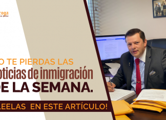 Las noticias de inmigración más importantes de la semana 7 del 2022 Las noticias de inmigración más importantes de la semana 7 del 2022
