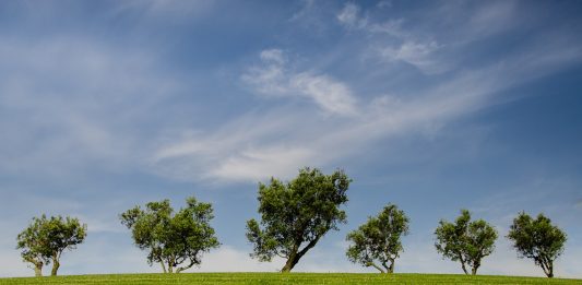 Máster en Sostenibilidad Ambiental en España, becas para latinos Máster en Sostenibilidad Ambiental en España, becas para latinos
