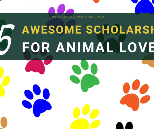 25 Incredible Scholarships for Animal Fans 25 Incredible Scholarships for Animal Fans