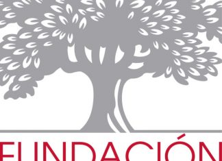 Beca Fundación Botín, Comisariado y Gestión de Museos Beca Fundación Botín, Comisariado y Gestión de Museos