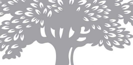 Beca Fundación Botín, Comisariado y Gestión de Museos Beca Fundación Botín, Comisariado y Gestión de Museos
