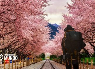 Working Vacation Visa para Corea del Sur Working Vacation Visa para Corea del Sur