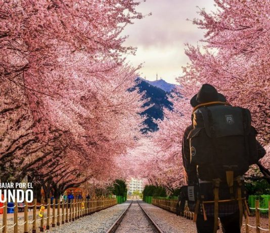 Working Vacation Visa para Corea del Sur Working Vacation Visa para Corea del Sur