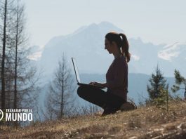 Según Harvard este es el Currículum perfecto en LinkedIn Según Harvard este es el Currículum perfecto en LinkedIn