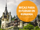 Becas de grado y posgrado en Rumania, para todos Becas de grado y posgrado en Rumania, para todos