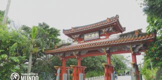 Programa de prácticas de investigación OIST en Japón Programa de prácticas de investigación OIST en Japón