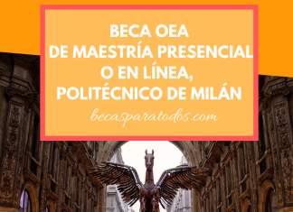 Becas OEA para maestría en transformación urbana, Politécnico de Milano Becas OEA para maestría en transformación urbana, Politécnico de Milano