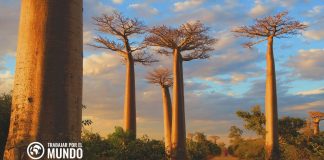 Guía para vivir en Madagascar Guía para vivir en Madagascar